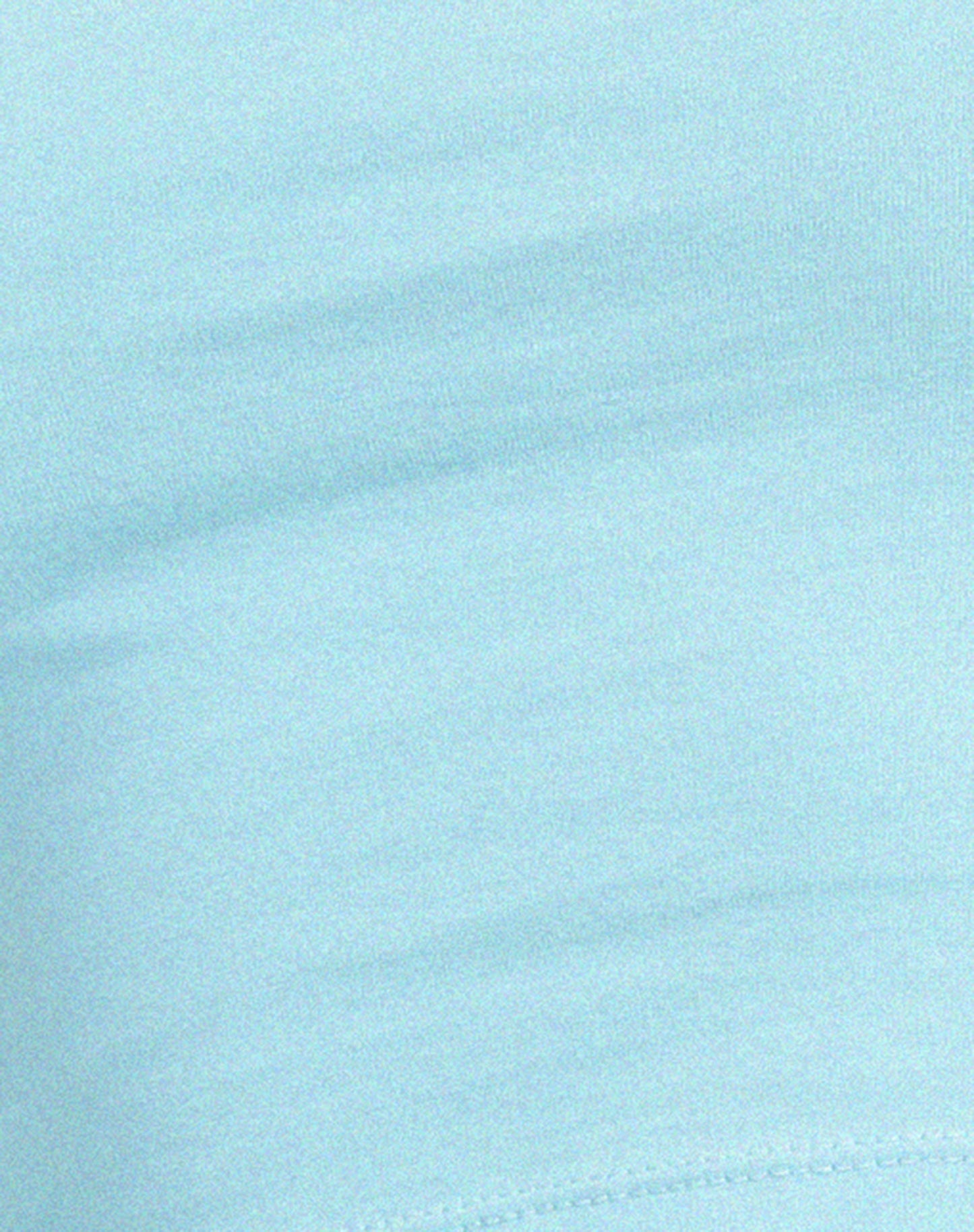 Brandy Long Sleeve Top in Petit Flour Blue