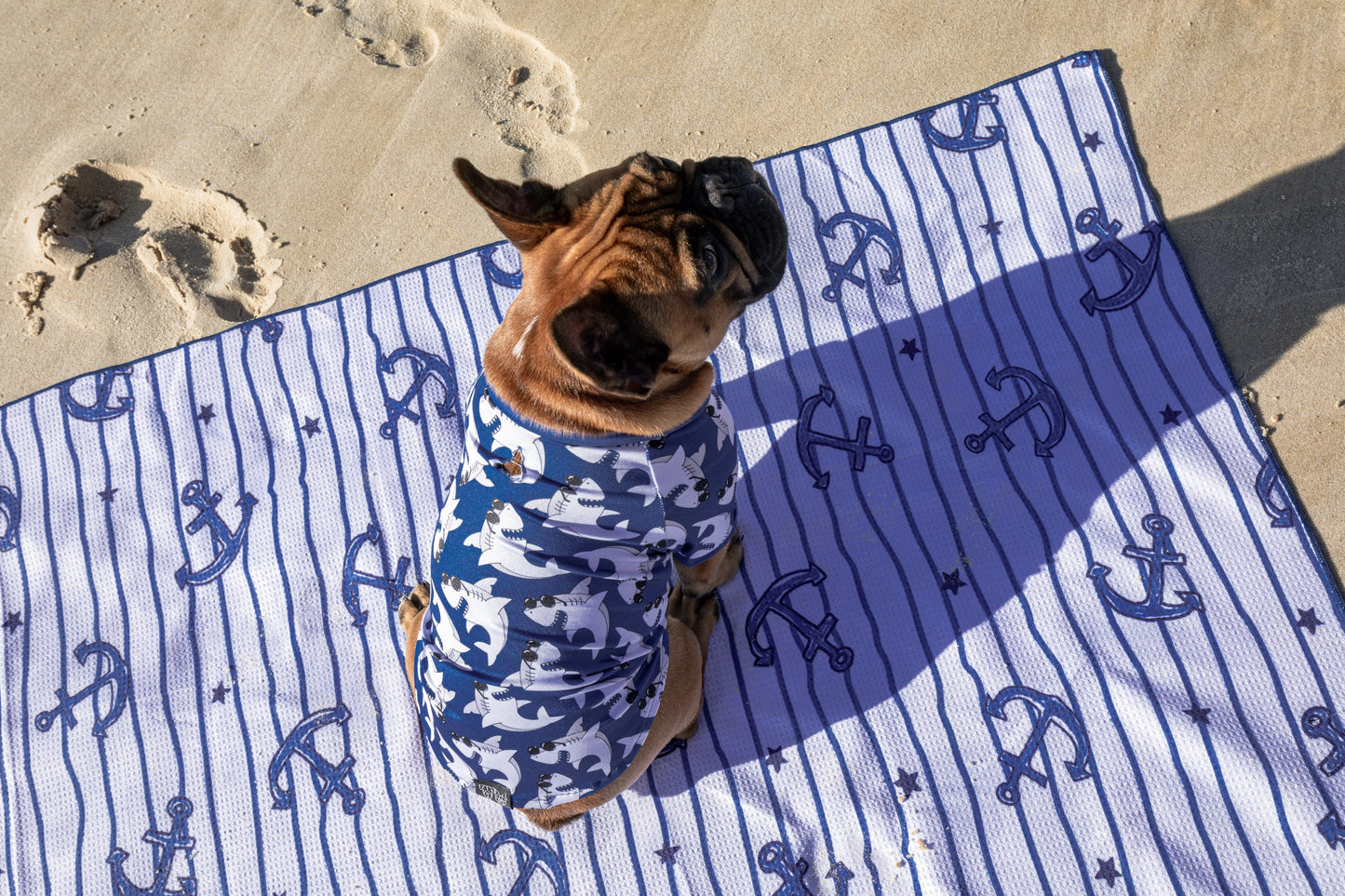 DOG BEACH RASHIE: Bite Me (Blue Version) {FINAL SALE}