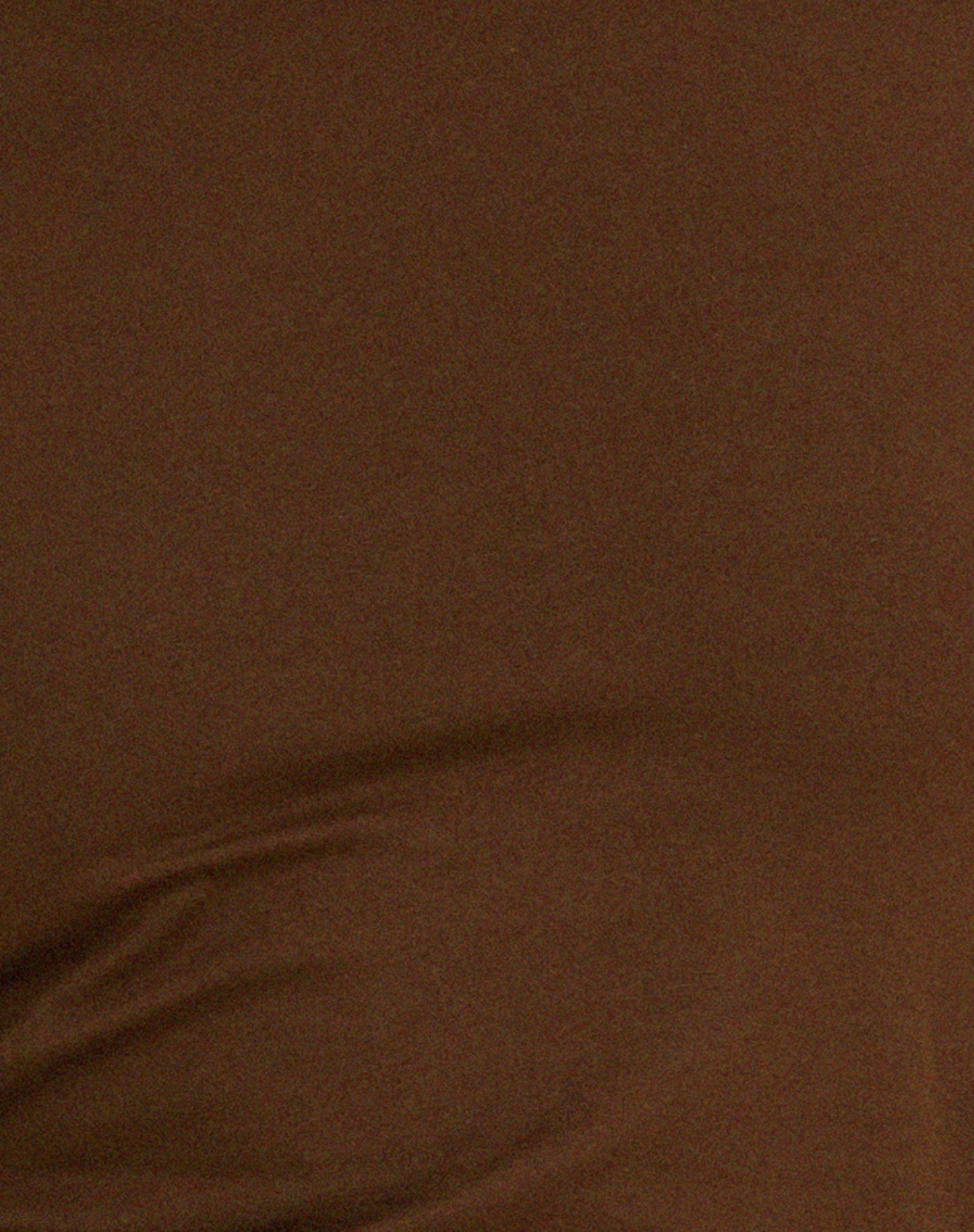 Surtie Crop Top in Cocoa