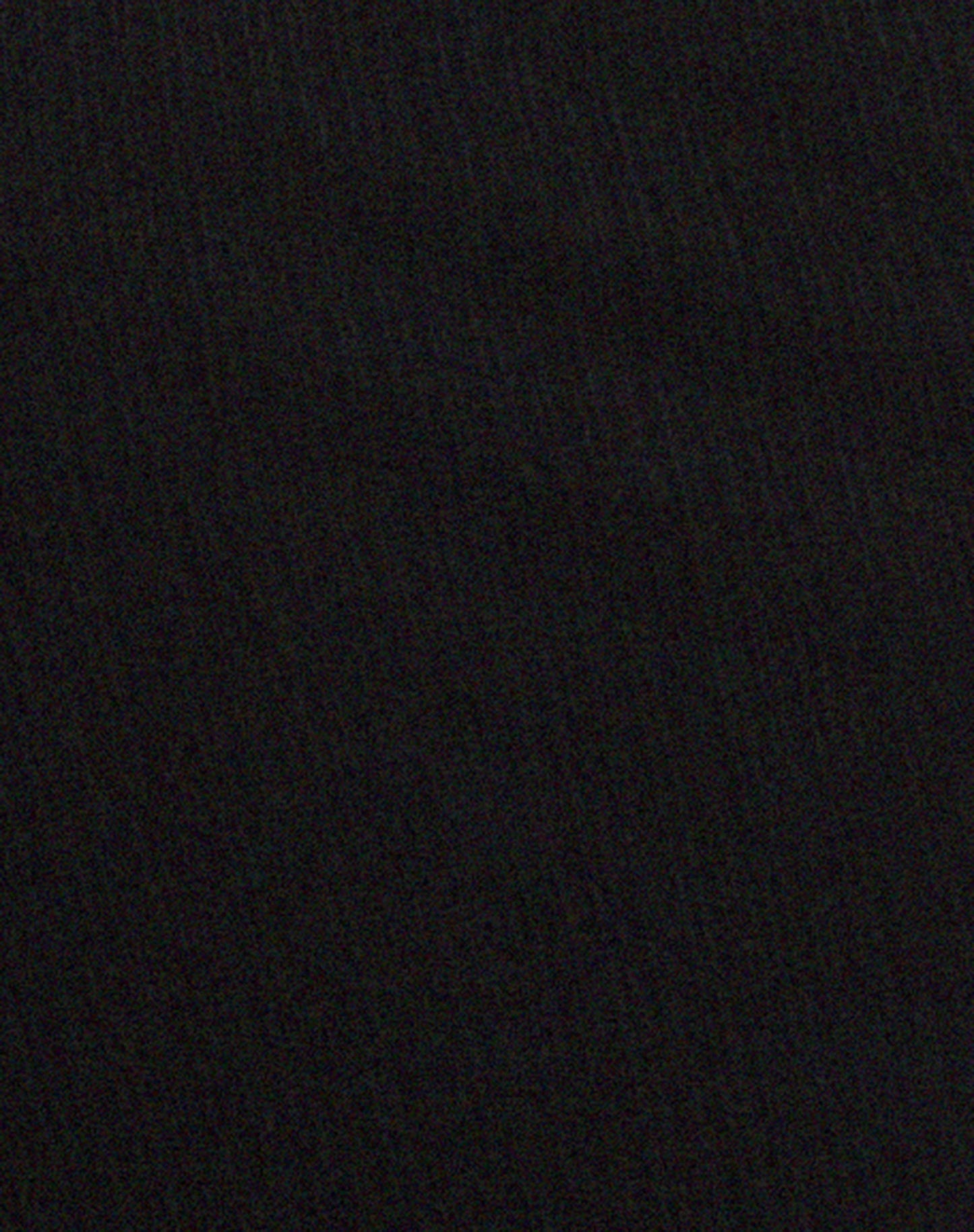 Magata Midi Skirt in Jersey Plise Black