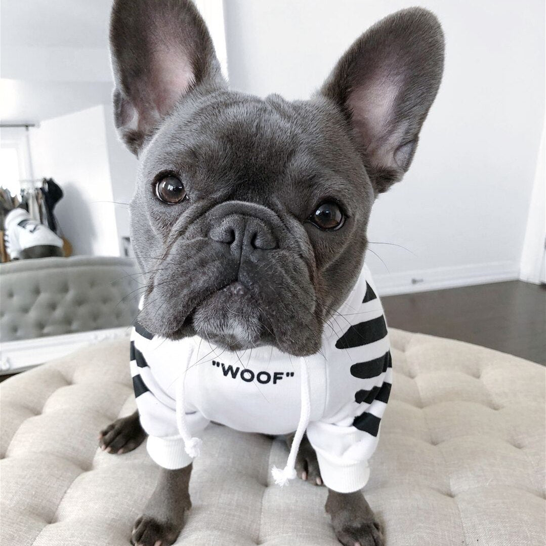Adidog Sport Retro Dog Hoodies