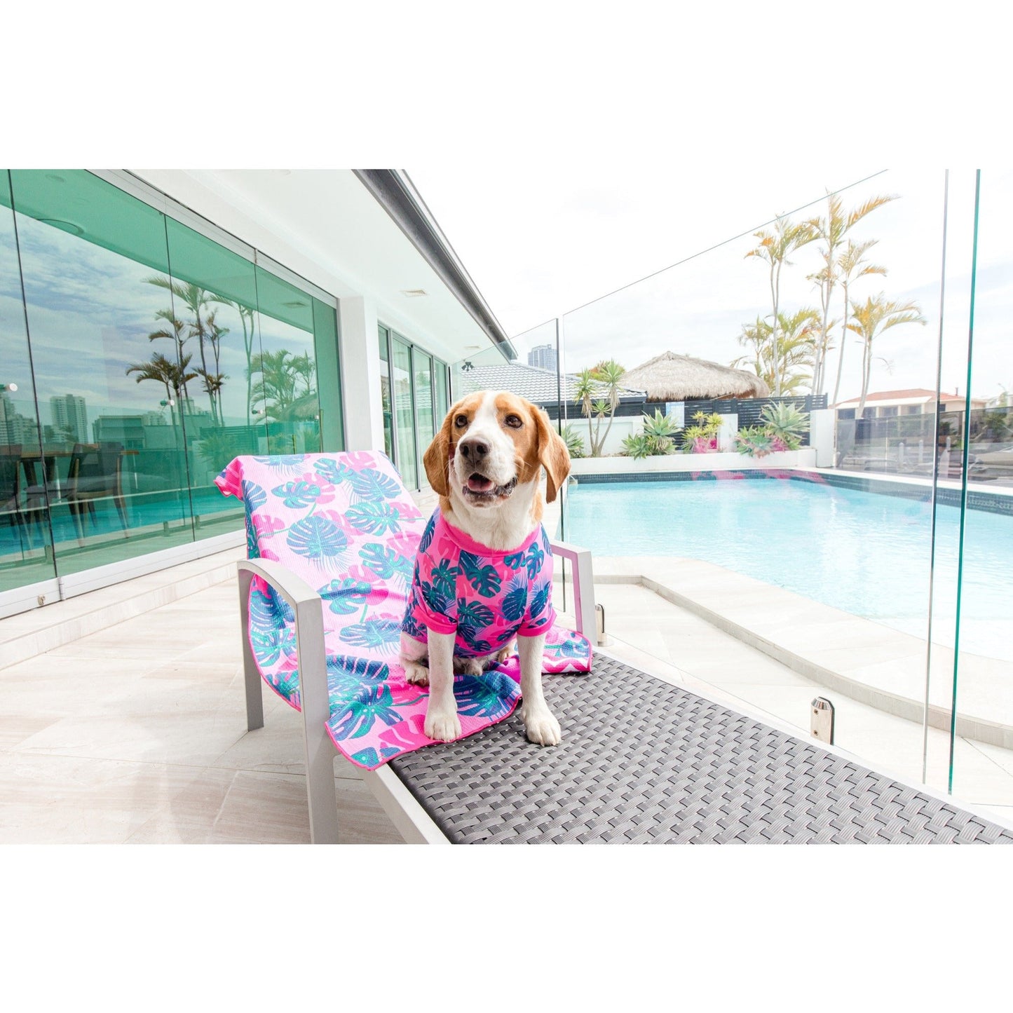 DOG BEACH RASHIE: Summer Lovin' {FINAL SALE}