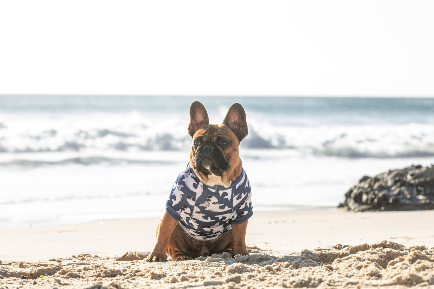 DOG BEACH RASHIE: Bite Me (Blue Version) {FINAL SALE}