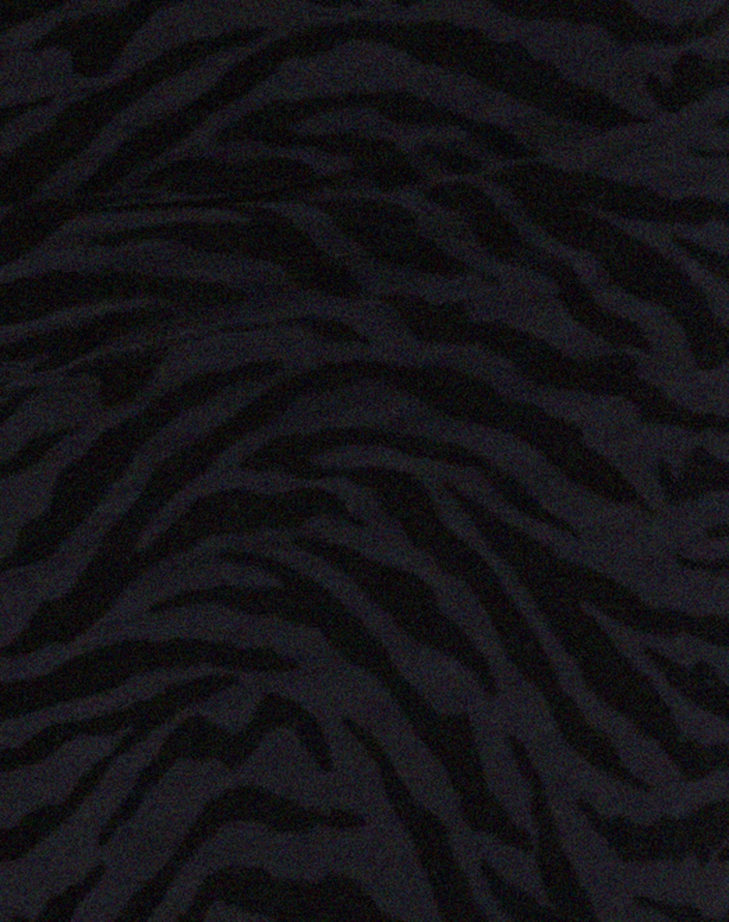Rayuma Maxi Dress in Zebra Flock Black