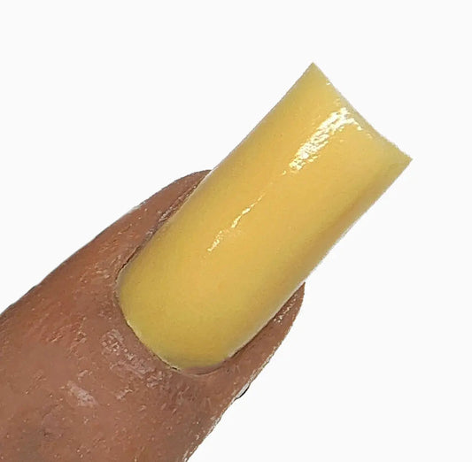 ACRYLIC | MARIGOLD - ACY51